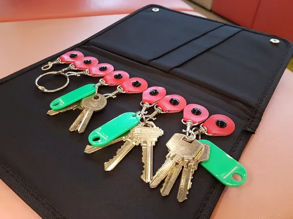 BTO Key Collection and Rectification Work