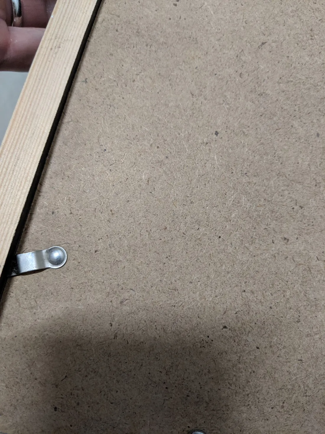 Taobao Photo Frames Gave Us a Booklice Bug Infestation
