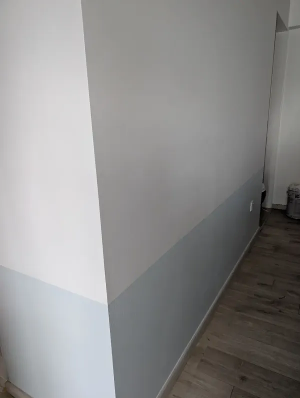 Getting Nippon Paint to Repaint Our Moldy Home (& What I'd Do Differently)